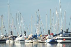 DSCF5743