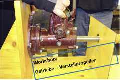 VEGA Workshops
